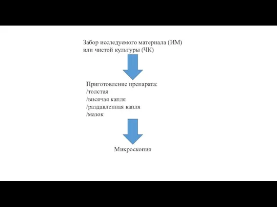 Забор исследуемого материала (ИМ) или чистой культуры (ЧК) Приготовление препарата: /толстая /висячая