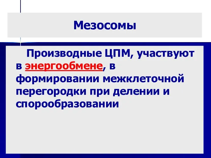 Мезосомы Производные ЦПМ, участвуют в энергообмене, в формировании межклеточной перегородки при делении и спорообразовании