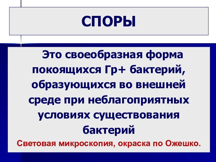 СПОРЫ Это своеобразная форма покоящихся Гр+ бактерий, образующихся во внешней среде при