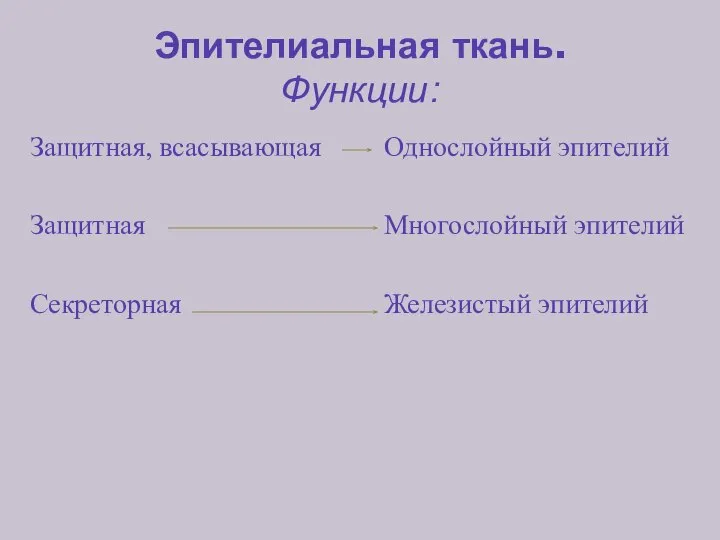 Эпителиальная ткань. Функции: Защитная, всасывающая Защитная Секреторная Однослойный эпителий Многослойный эпителий Железистый эпителий