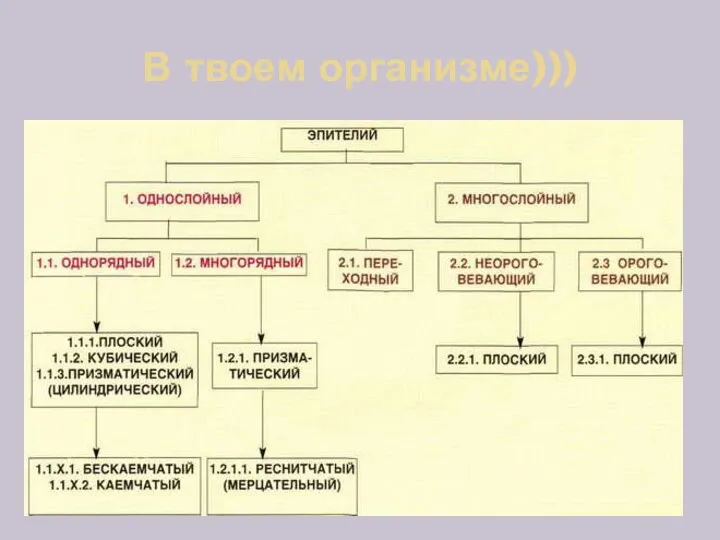 В твоем организме)))