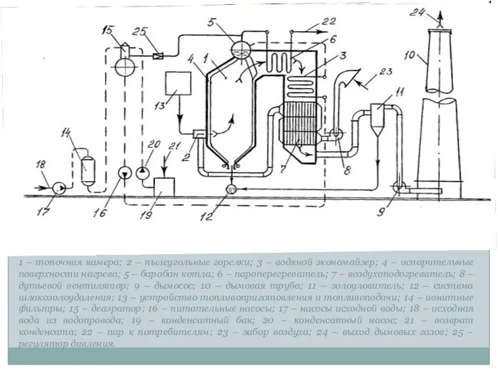 1 – топочная камера; 2 – пылеугольные горелки; 3 – водяной экономайзер;