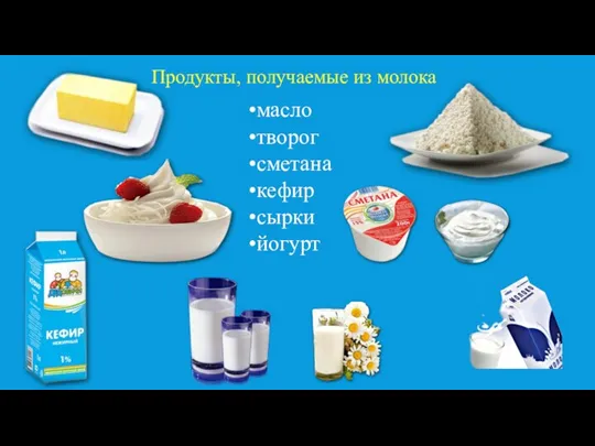 масло творог сметана кефир сырки йогурт Продукты, получаемые из молока