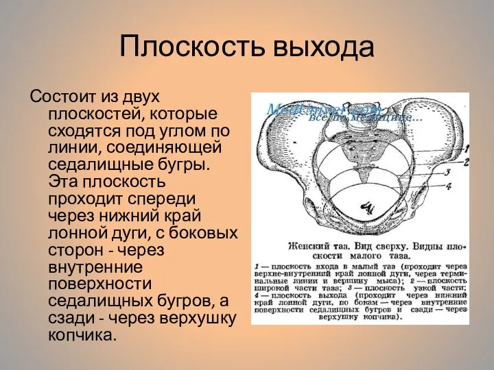 Плоскость выхода Состоит из двух плоскостей, которые сходятся под углом по линии,