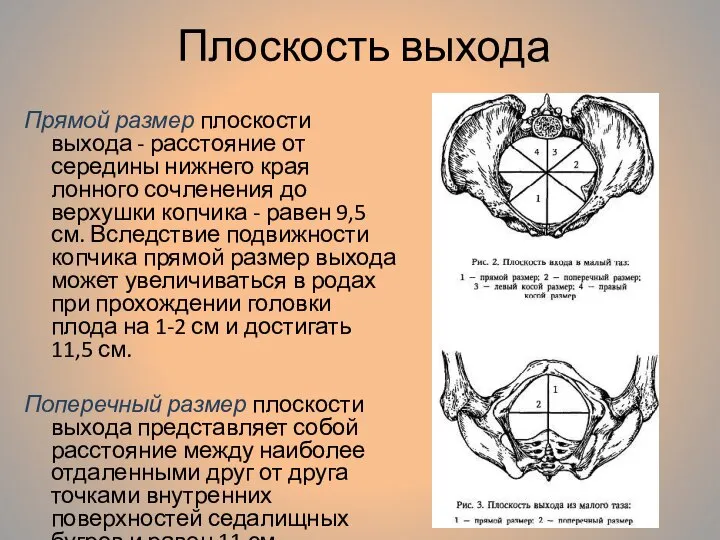 Плоскость выхода Прямой размер плоскости выхода - расстояние от середины нижнего края