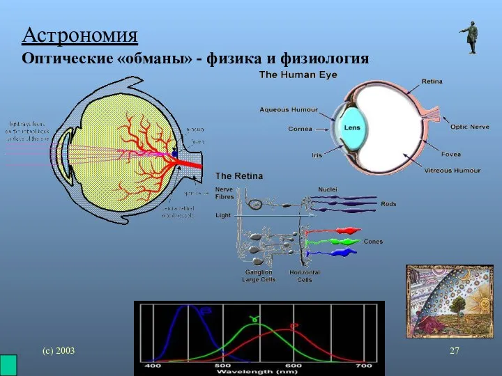 (с) 2003 mez@karelia.ru Астрономия Оптические «обманы» - физика и физиология