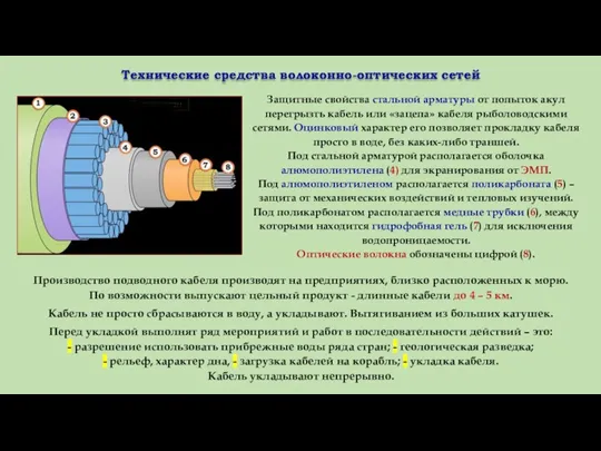 Технические средства волоконно-оптических сетей Защитные свойства стальной арматуры от попыток акул перегрызть