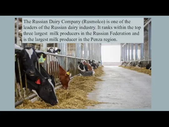 The Russian Dairy Company (Rusmolco) is one of the leaders of the
