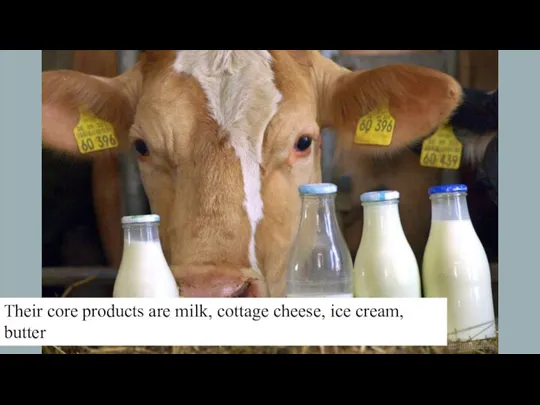Their core products are milk, cottage cheese, ice cream, butter