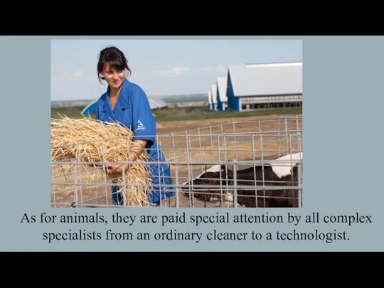 As for animals, they are paid special attention by all complex specialists