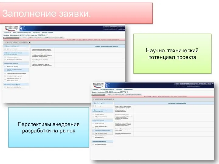 Заполнение заявки. Научно-технический потенциал проекта Перспективы внедрения разработки на рынок