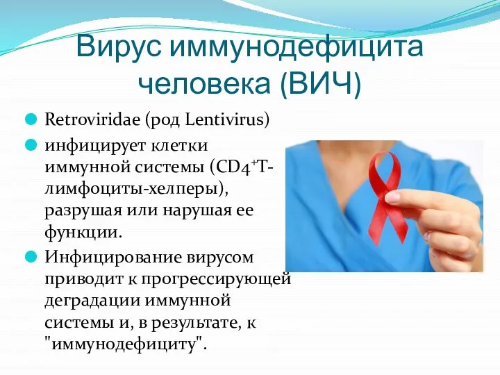 Вирус иммунодефицита человека (ВИЧ) Retroviridae (род Lentivirus) инфицирует клетки иммунной системы (CD4+T-лимфоциты-хелперы),