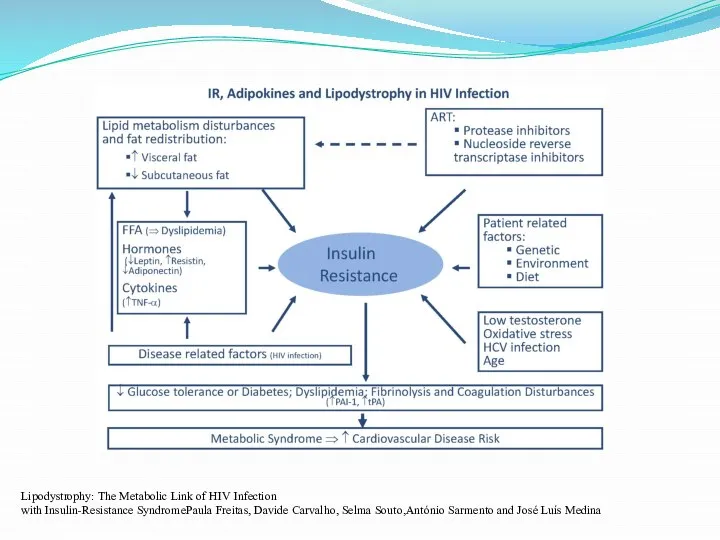 Lipodystrophy: The Metabolic Link of HIV Infection with Insulin-Resistance SyndromePaula Freitas, Davide