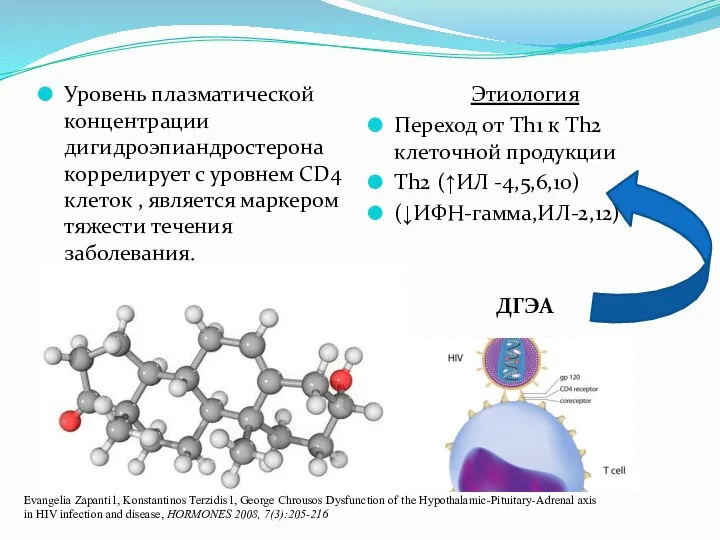 Уровень плазматической концентрации дигидроэпиандростерона коррелирует с уровнем CD4 клеток , является маркером