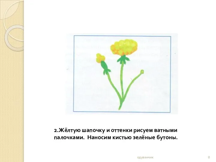 одуванчик 2.Жёлтую шапочку и оттенки рисуем ватными палочками. Наносим кистью зелёные бутоны.