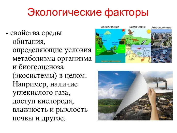 Экологические факторы - свойства среды обитания, определяющие условия метаболизма организма и биогеоценоза