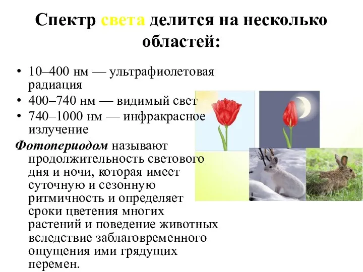 Спектр света делится на несколько областей: 10–400 нм — ультрафиолетовая радиация 400–740