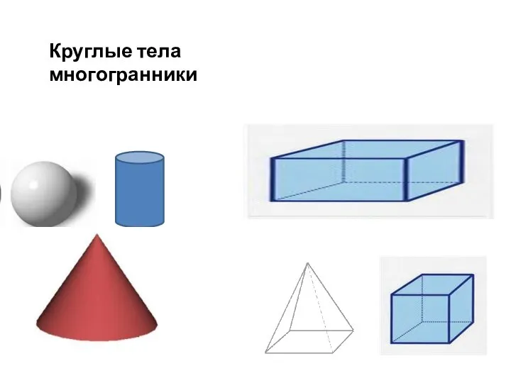 Круглые тела многогранники