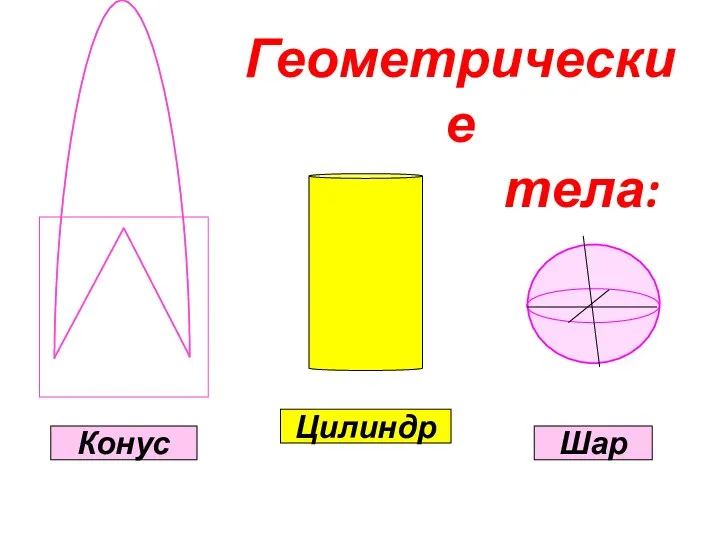 Геометрические тела: Цилиндр Конус Шар