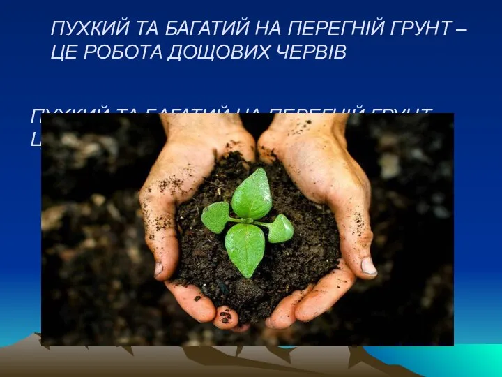 ПУХКИЙ ТА БАГАТИЙ НА ПЕРЕГНІЙ ГРУНТ – ЦЕ РОБОТА ДОЩОВИХ ЧЕРВІВ ПУХКИЙ