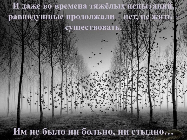 И даже во времена тяжёлых испытаний, равнодушные продолжали – нет, не жить