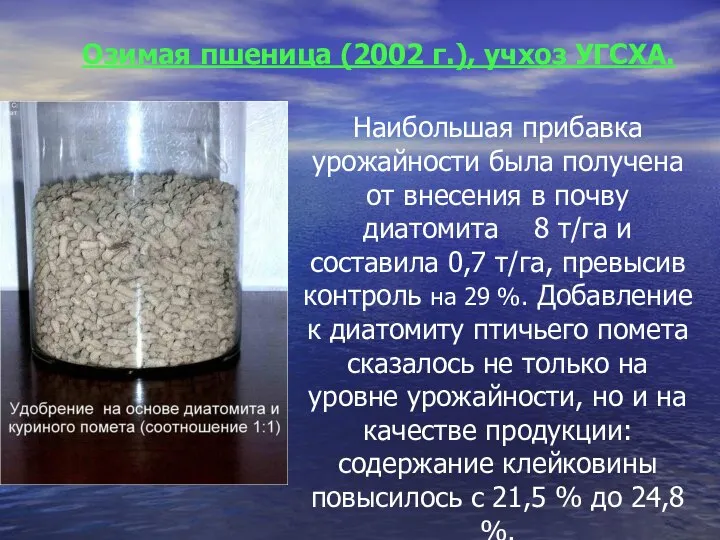 Наибольшая прибавка урожайности была получена от внесения в почву диатомита 8 т/га