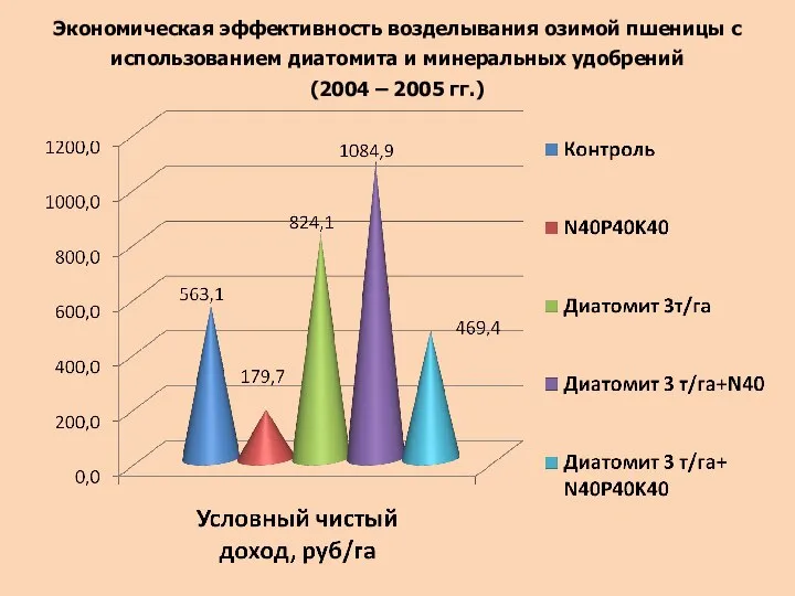 Экономическая эффективность возделывания озимой пшеницы с использованием диатомита и минеральных удобрений (2004 – 2005 гг.)