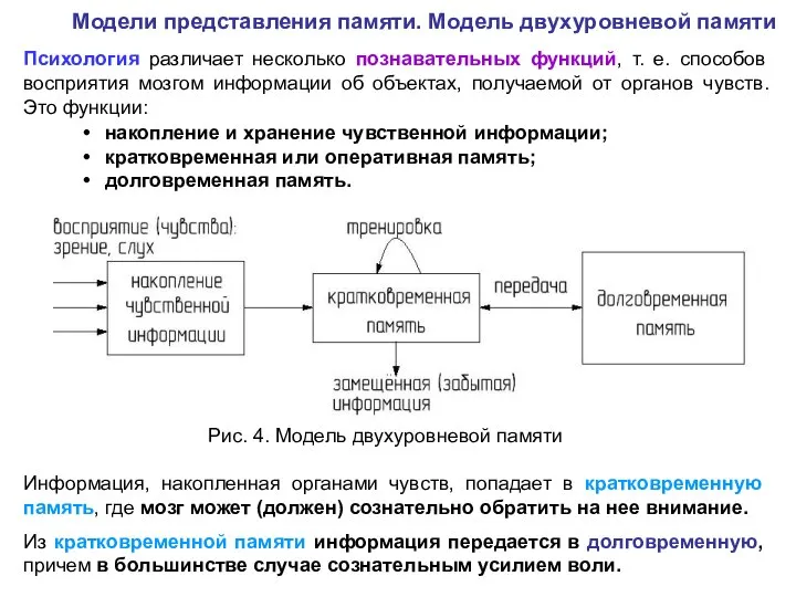 Модели представления памяти. Модель двухуровневой памяти Психология различает несколько познавательных функций, т.