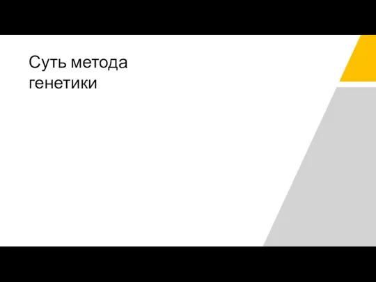 Суть метода генетики Суть метода генетики соматических клеток сводится к использованию в