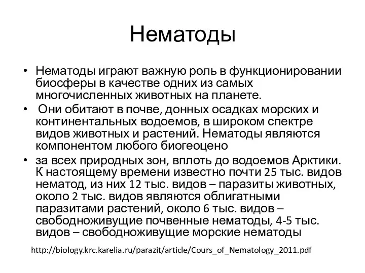 Нематоды Нематоды играют важную роль в функционировании биосферы в качестве одних из