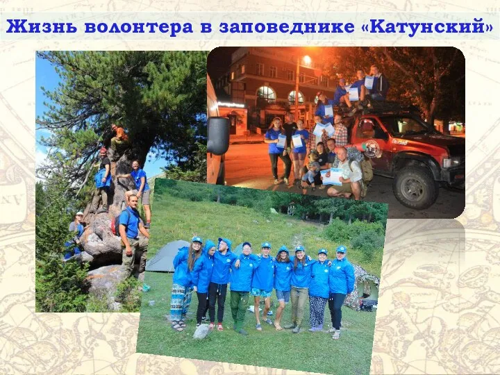 Жизнь волонтера в заповеднике «Катунский»