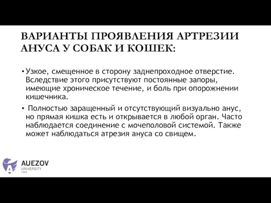 ВАРИАНТЫ ПРОЯВЛЕНИЯ АРТРЕЗИИ АНУСА У СОБАК И КОШЕК: Узкое, смещенное в сторону