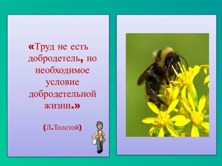 «Труд не есть добродетель, но необходимое условие добродетельной жизни.» (Л.Толстой)