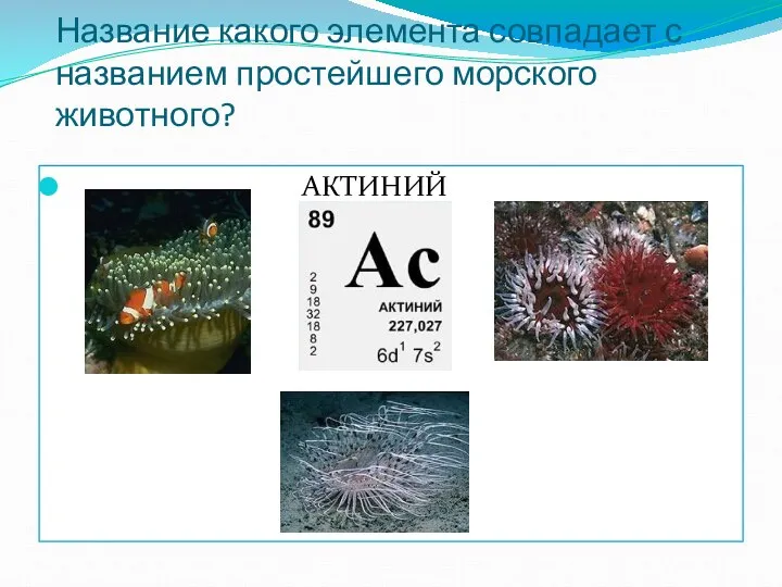 Название какого элемента совпадает с названием простейшего морского животного? АКТИНИЙ