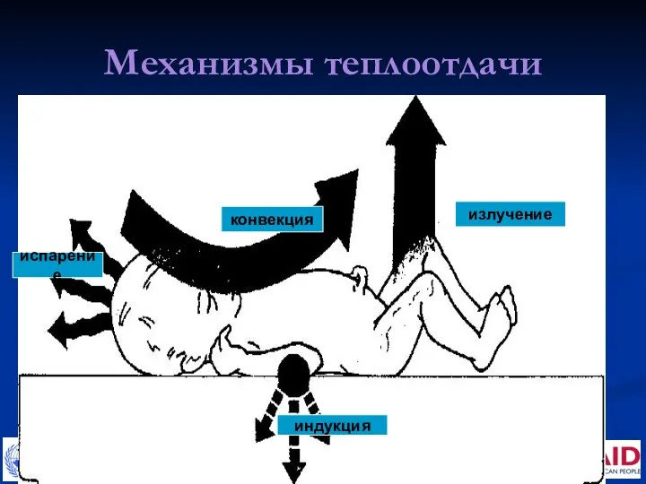 Механизмы теплоотдачи конвекция индукция испарение излучение