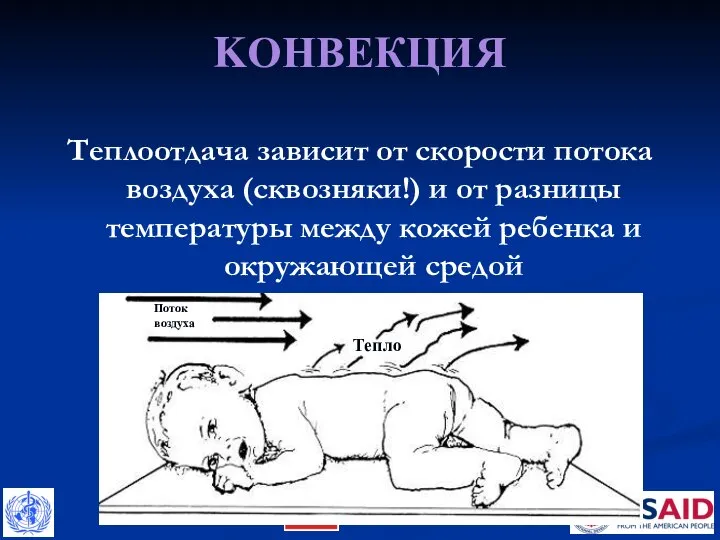 KОНВЕКЦИЯ Теплоотдача зависит от скорости потока воздуха (сквозняки!) и от разницы температуры