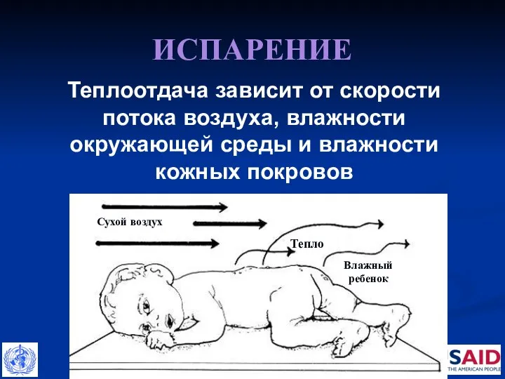 ИСПАРЕНИЕ Тепло Сухой воздух Влажный ребенок Теплоотдача зависит от скорости потока воздуха,