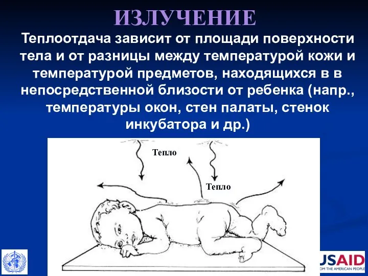 ИЗЛУЧЕНИЕ Тепло Тепло Теплоотдача зависит от площади поверхности тела и от разницы