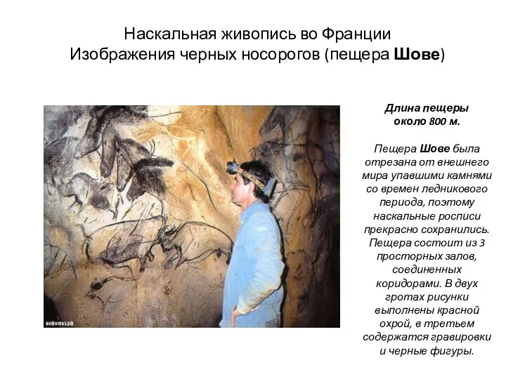 Наскальная живопись во Франции Изображения черных носорогов (пещера Шове) Длина пещеры около