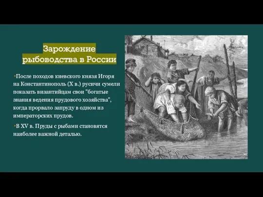 Зарождение рыбоводства в России После походов киевского князя Игоря на Константинополь (Х