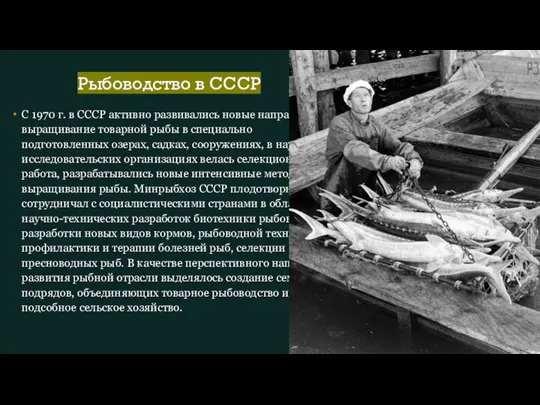 Рыбоводство в СССР С 1970 г. в СССР активно развивались новые направления