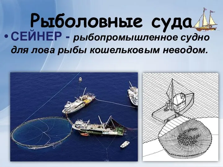 Рыболовные суда СЕЙНЕР - рыбопромышленное судно для лова рыбы кошельковым неводом.