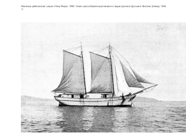 Японская рыболовная шхуна «Нику Мару». 1900. Такие шхуны браконьерствовали в водах русского