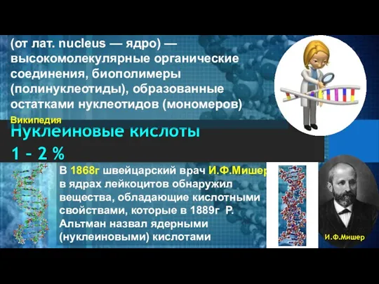 Нуклеиновые кислоты 1 – 2 % (от лат. nucleus — ядро) —