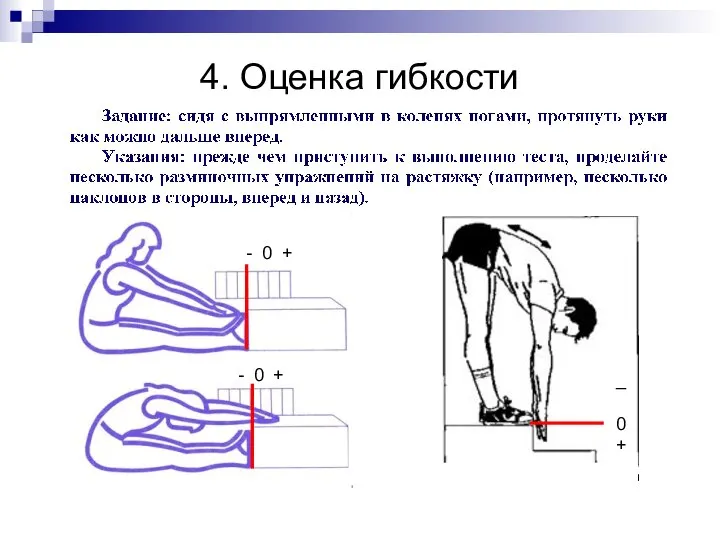 4. Оценка гибкости - 0 + - 0 + _ 0 +