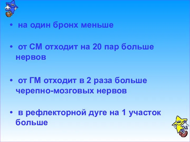 на один бронх меньше от СМ отходит на 20 пар больше нервов