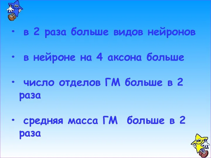 в 2 раза больше видов нейронов в нейроне на 4 аксона больше