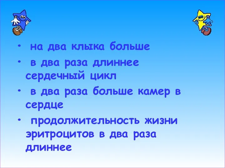 на два клыка больше в два раза длиннее сердечный цикл в два