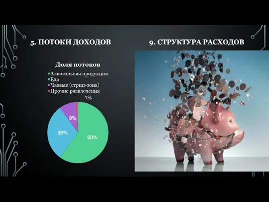 9. СТРУКТУРА РАСХОДОВ 5. ПОТОКИ ДОХОДОВ