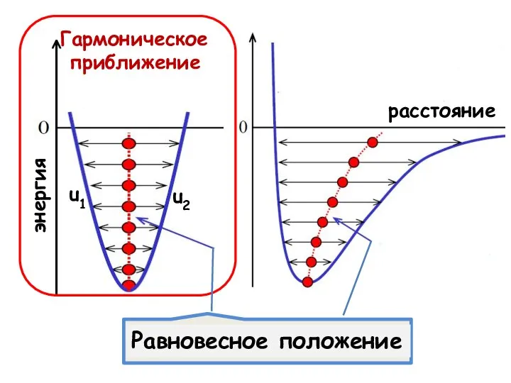 Гармоническое приближение энергия расстояние u1 u2 Равновесное положение